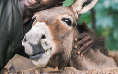 Be Part of the Impact